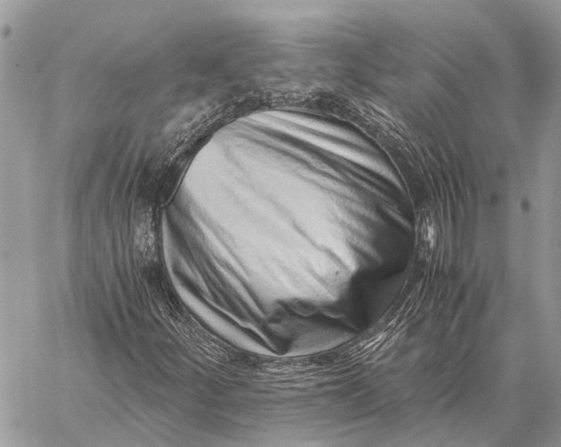 X0000059091252200510281740