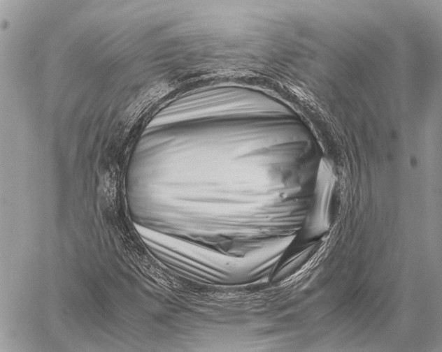 X0000059091257200510281740