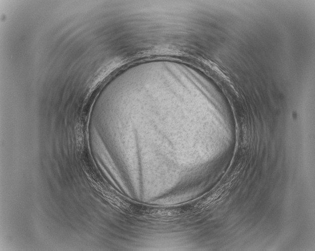 X0000059091266200510281740