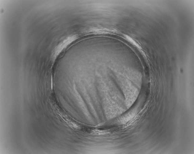 X0000059091269200510281740