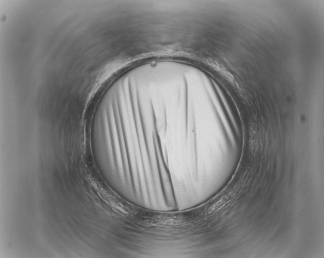 X0000059091270200510281740