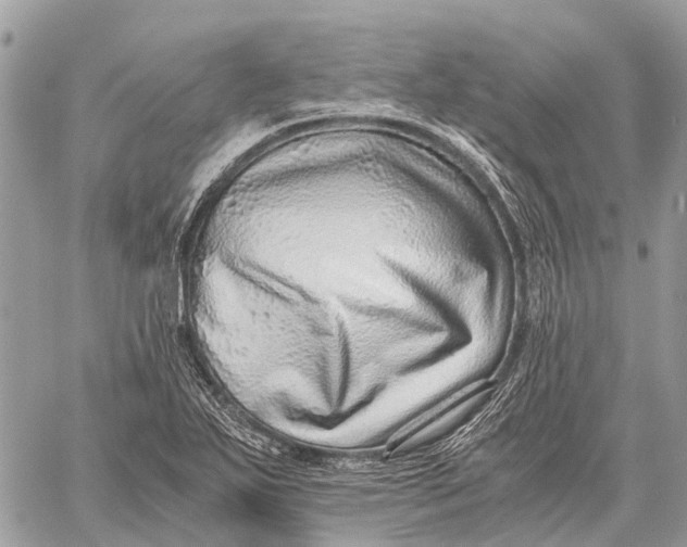 X0000059091271200510281740
