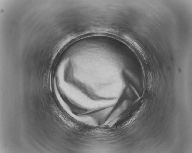 X0000059091272200510281740