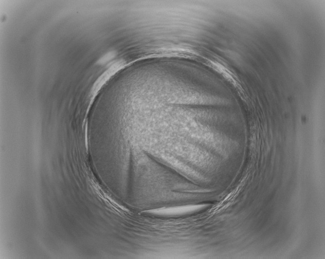 X0000059091275200510281740