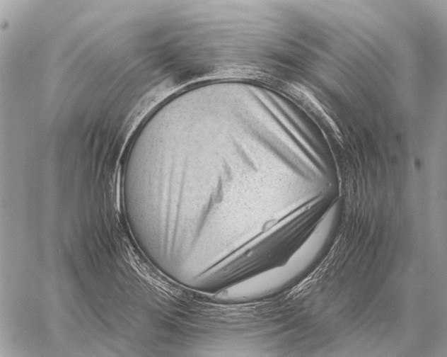 X0000059091276200510281740