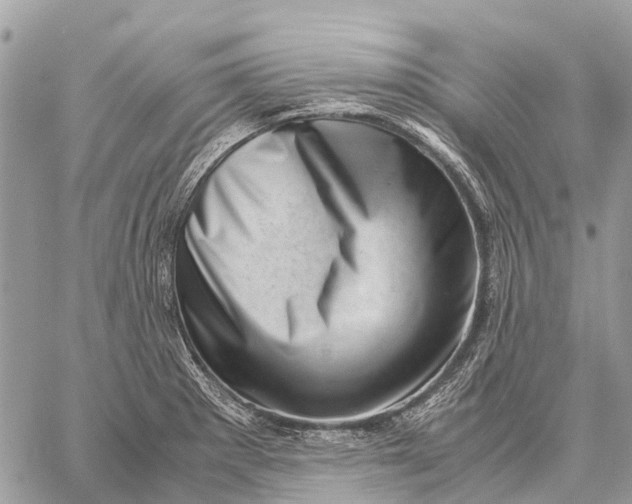 X0000059091281200510281739