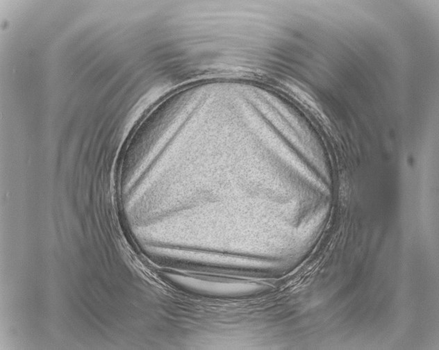 X0000059091283200510281739