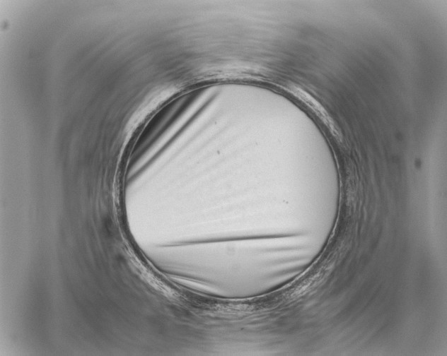 X0000059091285200510281739