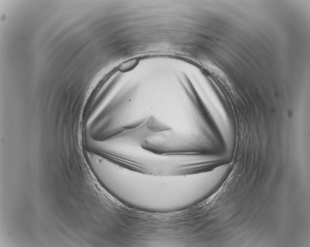 X0000059091288200510281739