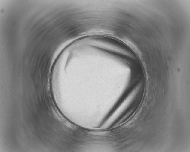 X0000059091296200510281739