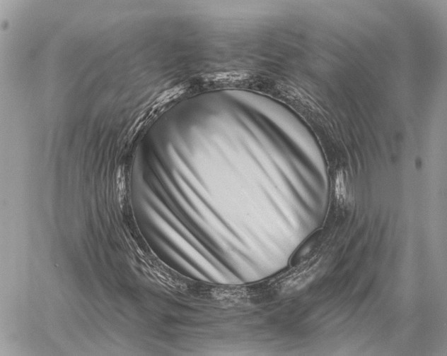 X0000059091299200510281738