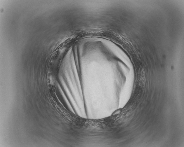 X0000059091301200510281738