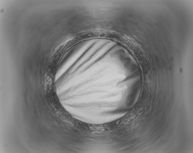 X0000059091302200510281738