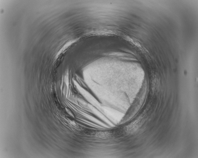 X0000059091306200510281739