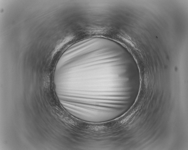 X0000059091309200510281739