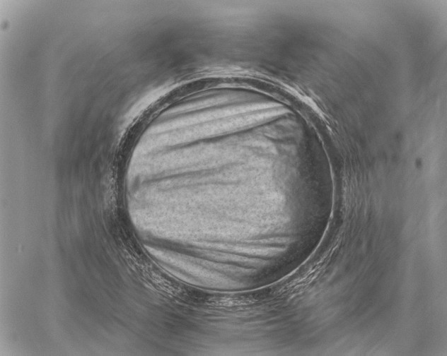 X0000059091311200510281739