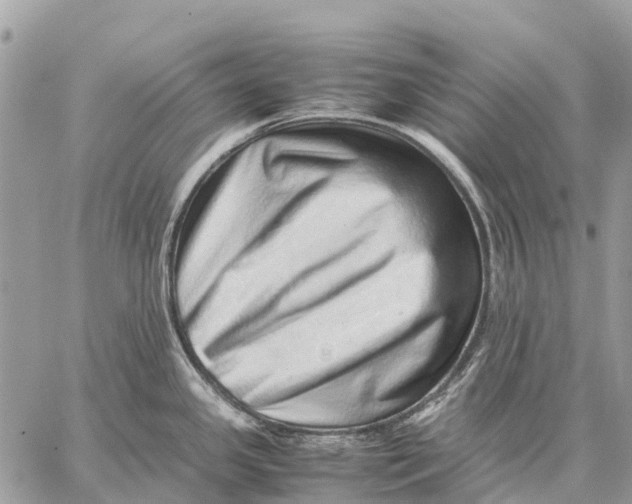 X0000059091341200510281739