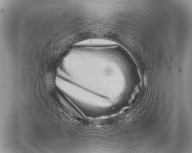 X0000059091347200510281738