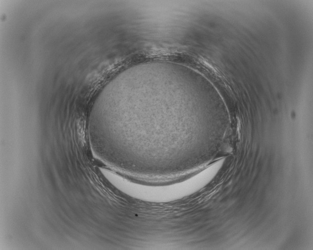 X0000059091348200510281738