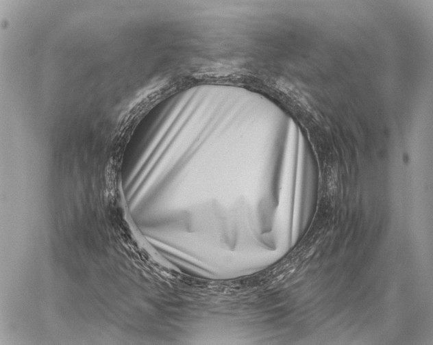 X0000059091350200510281738