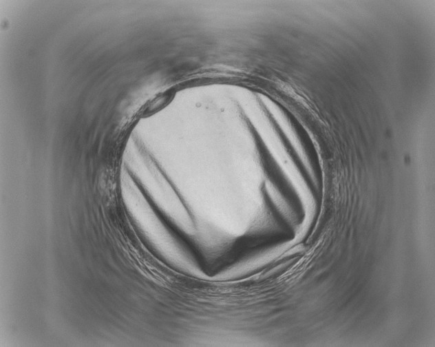 X0000059091355200510281738