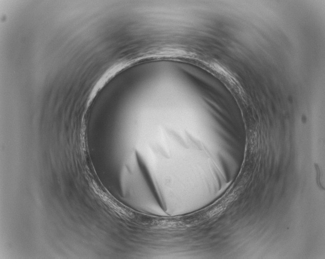 X0000059091374200510281738