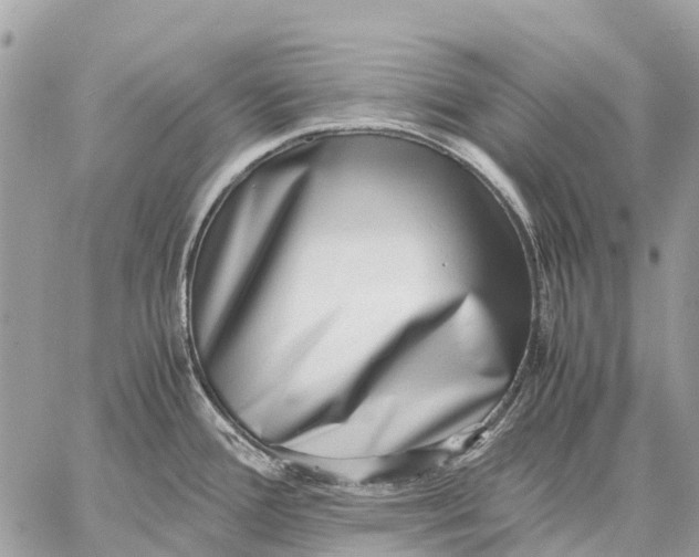X0000059091388200510281738