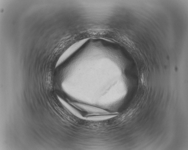X0000059091396200510281737