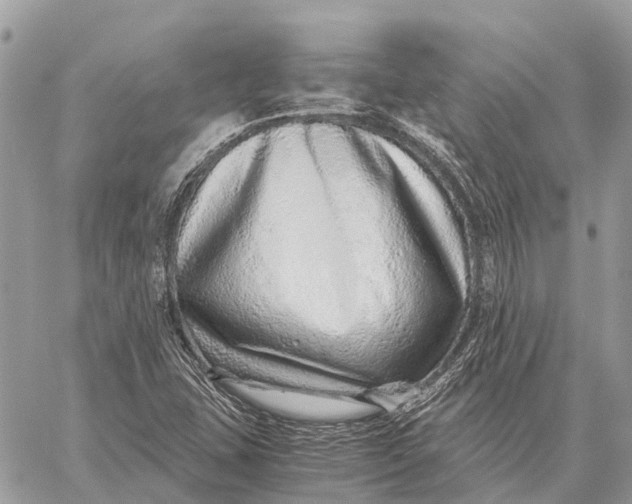 X0000059091407200510281737