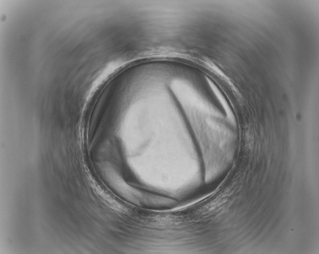 X0000059091416200510281737