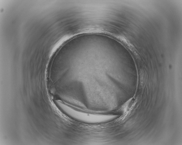 X0000059091422200510281737