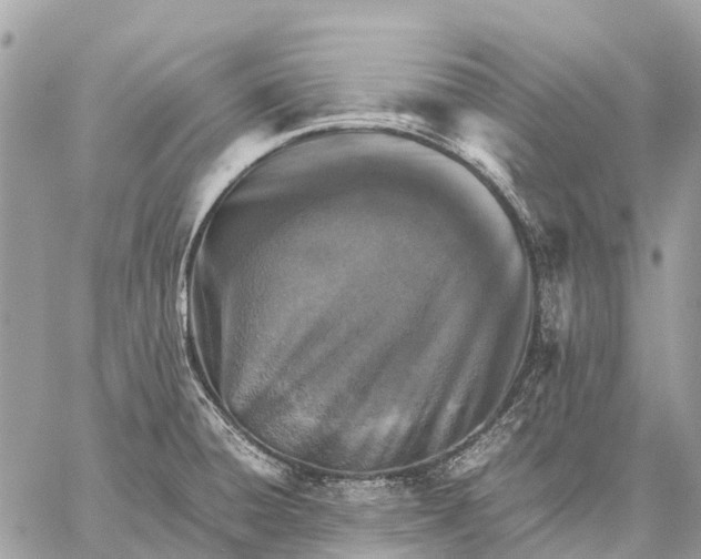 X0000059091428200510281737