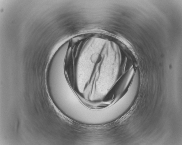 X0000059091430200510281737