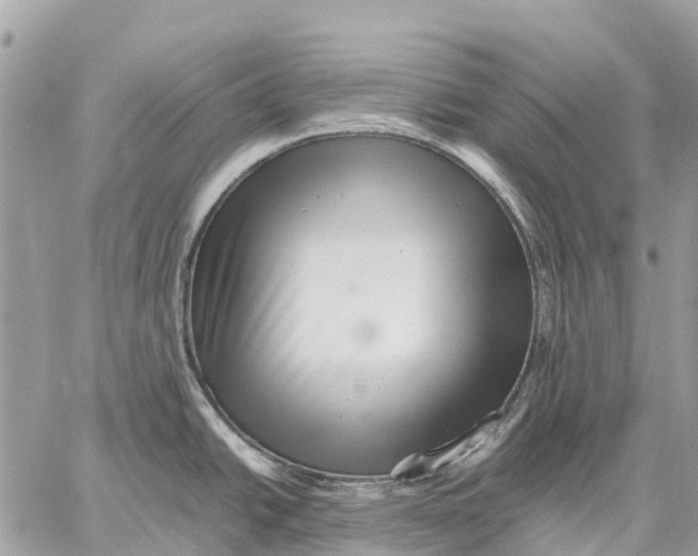 X0000059091438200510281738