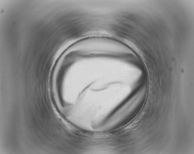 X0000059091440200510281738