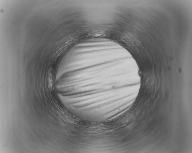 X0000059091442200510281737