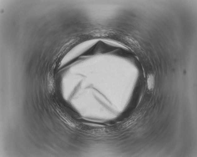 X0000059091444200510281737