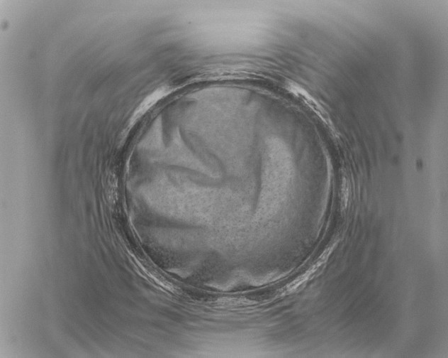 X0000059091449200510281737
