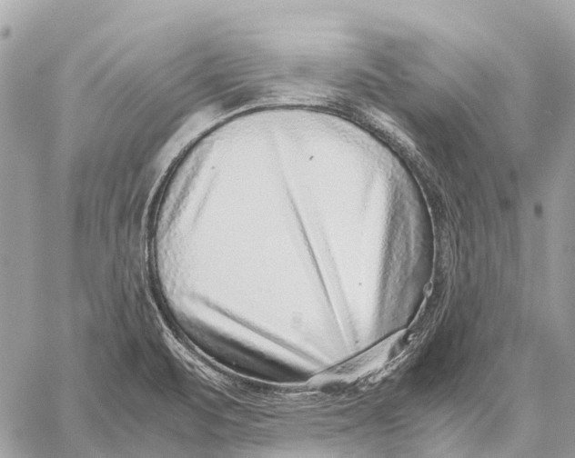 X0000059091471200510281736