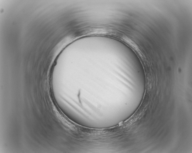 X0000059091475200510281736