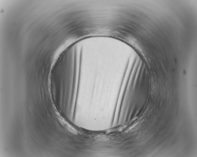 X0000059091480200510281736