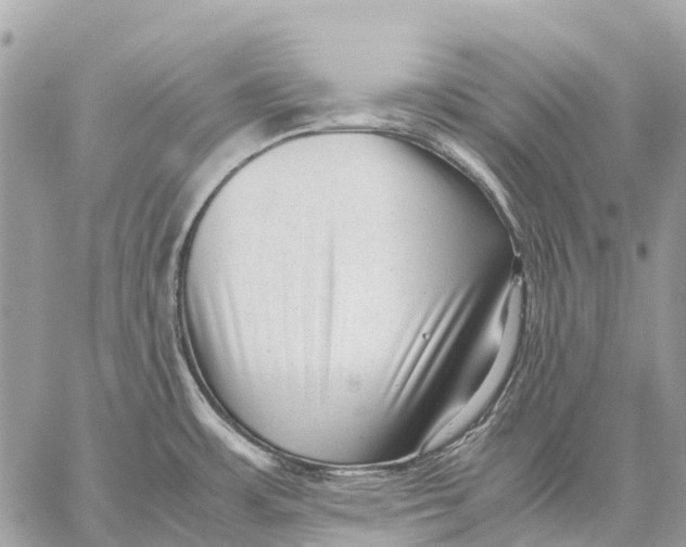 X0000059091483200510281736