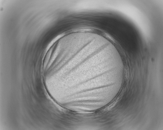 X0000059091487200510281736