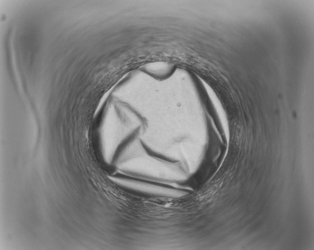 X0000059091489200510281735
