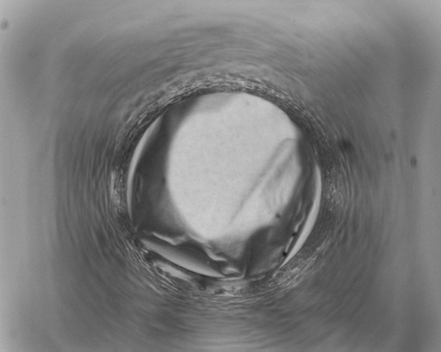 X0000059091490200510281735