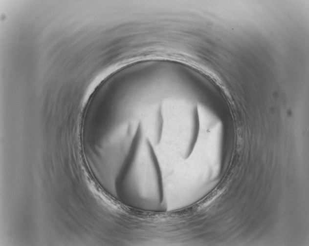 X0000059091530200510281736