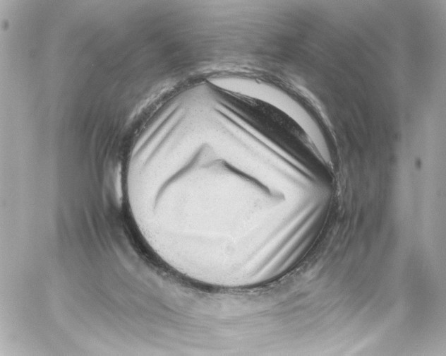 X0000059090020200511041859