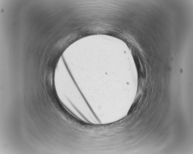 X0000059090021200511041859