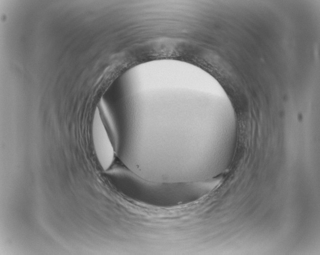 X0000059090035200511041859