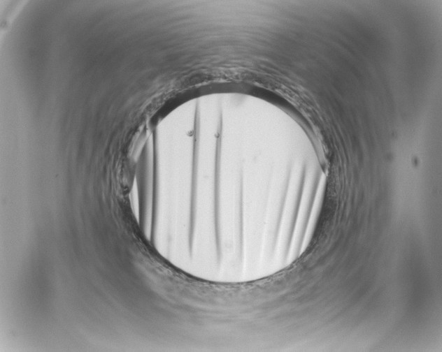 X0000059090037200511041859